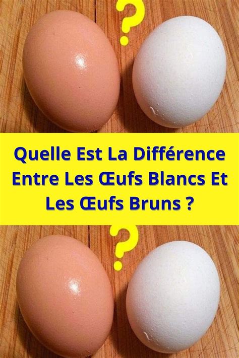 Quelle Est La Diff Rence Entre Les Ufs Blancs Et Les Ufs Bruns