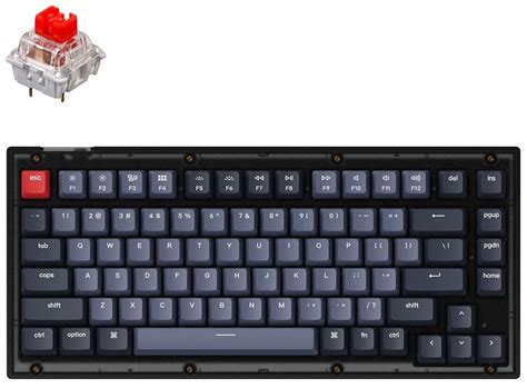 Клавиатура Keychron V1 84 Key QMK RGB Gateron G PRO Red Hot Swap V1A1 Frosted Black купить в