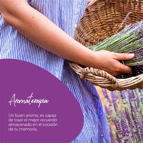 Productos Shelo Nabel