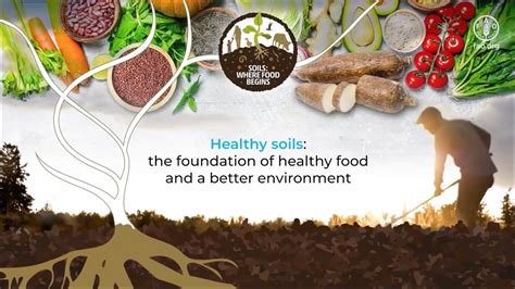 Healthy Soils The Foundation Of Healthy Food And A Better Environment