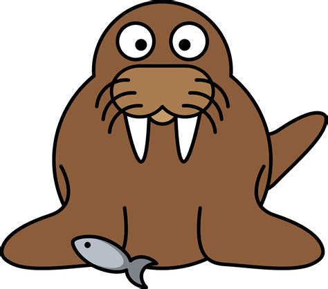 90+ Free Walrus & Animal Images - Pixabay