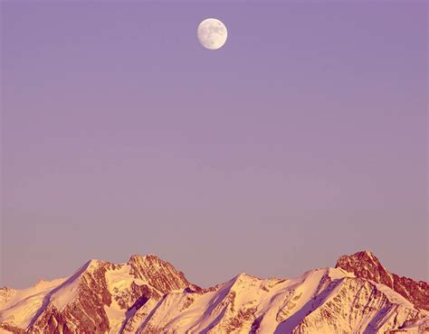 Minimal Nude Behance