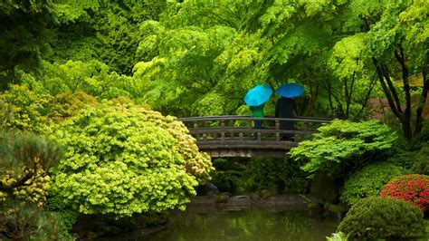 portland japanese garden  portland oregon expedia