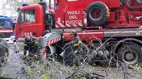 Milano Albero Cade Sulle Auto Video Dailymotion