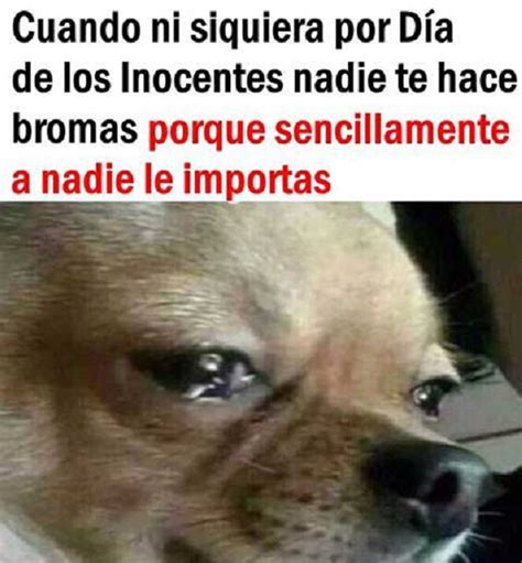 Memes Del D A De Las Bromas De Los Santos Inocentes Tuexperto