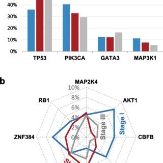 The Mutational Profiles Of Significantly Mutated Genes In Idbc A The