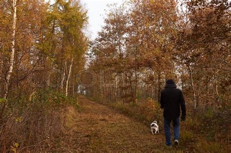 Mand går tur med hund i skov om Stock foto Colourbox