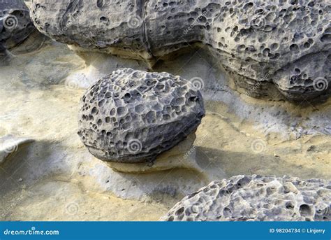 Fori Di Erosione Della Roccia Alla Spiaggia Fotografia Stock Immagine