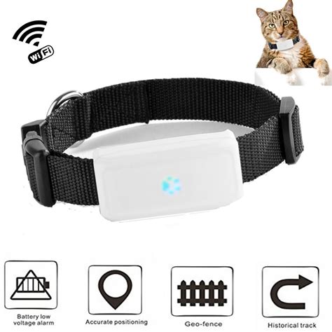 Los Mejores Collares Para Gatos Con Gps La Mejor Opcion