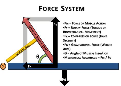 Force Diagram For Torque
