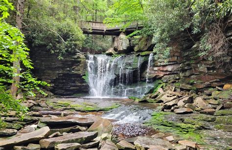 Best waterfall trails in Blackwater Falls State Park | AllTrails