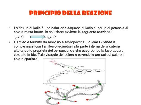 Ia Ocb Alimenti