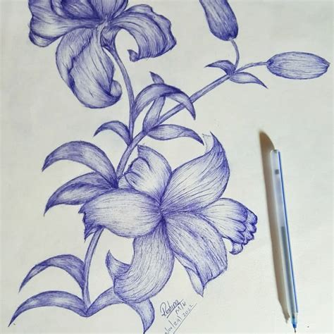 ball point  drawing  drawing ballpoint  drawing ballpoint