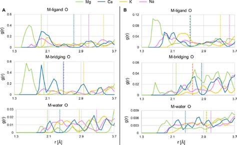 Radial Distribution Functions Rdfs G R Of Different O Atoms Polyp