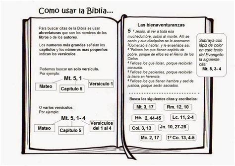 Como Leer La Biblia Catolica Capitulos Y Versiculos Regalos Romero