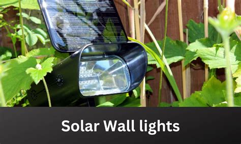 8 Cool Types of Solar Lights - WalkingSolar