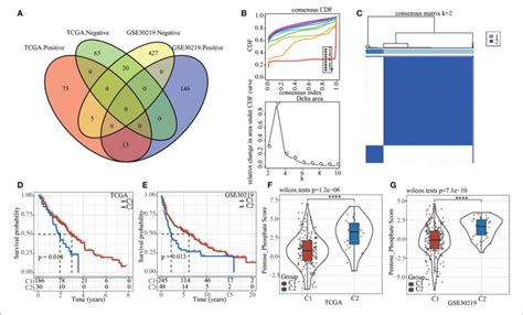 The Pentose Phosphate Related Lncrnas Subtypes In Tcga A Venn