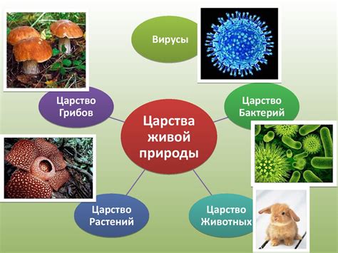 Мир живых организмов планеты - online presentation