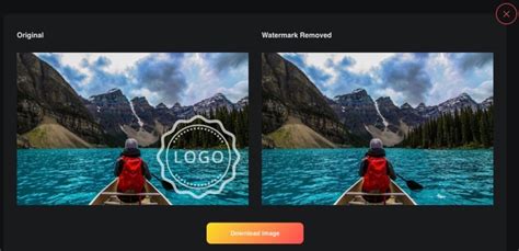 Remove WaterMark | Techtippr 