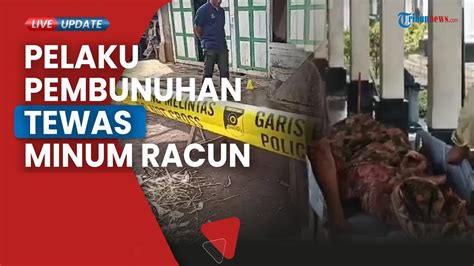 Kasus Suami Bunuh Istri Di Kepahiang Bengkulu Dihentikan Satu Satunya