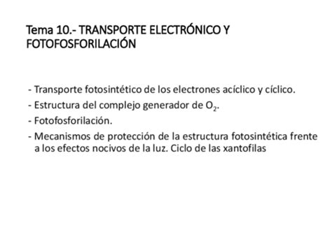 Kami Export Tema Transporte Electronico Y Fotofosforilacian Pdf