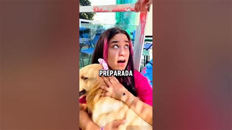 A Emilly Vick Tá Grávida - Emilly Vick a Estrela está grávida de 5 filhotes - YouTube