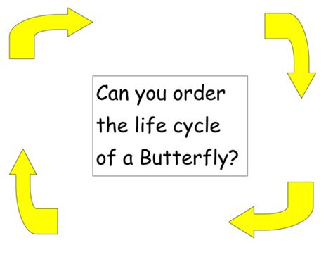 Insects - life cycles | Teaching Resources