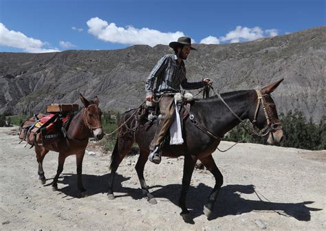 La Travesía De Un Colombiano Que Recorre En Mula La Antigua Ruta Qhapaq