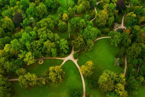 382300 Birds Eye View Park Stock Photos Pictures And Royalty Free