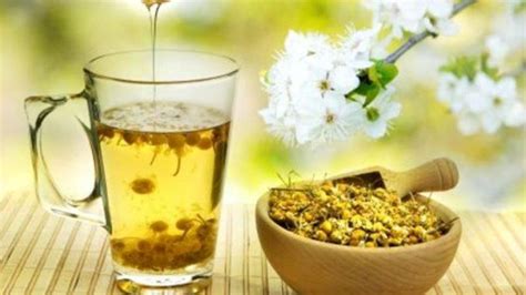 Manfaat Teh Chamomile Untuk Kesehatan Tubuh Bisa Bantu Menurunkan