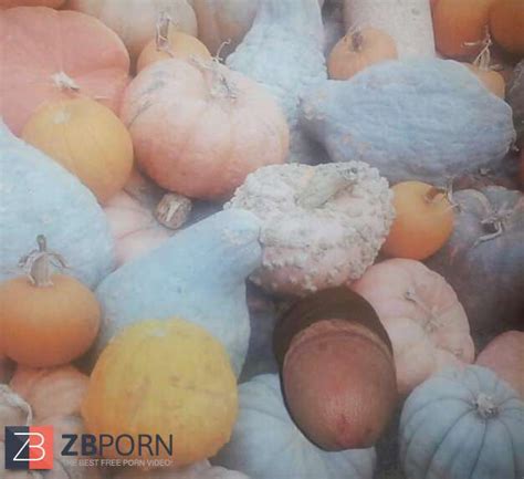 Pumpkin Patch ZB Porn