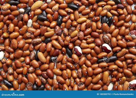 Background From Different Types Of Beans Brown Black Spotted Beans