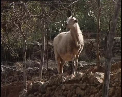 Retro Deutsches Retro Amateur Video Deine T Gliche Dosis Porno Xhamster