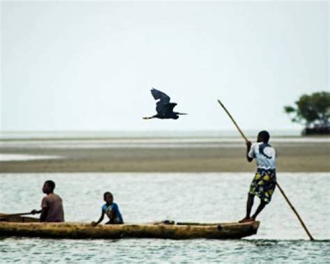 Fishing In Sierra Leone A Quirky Story Rps Partnership