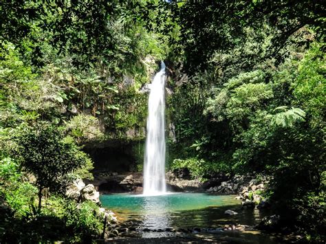 Taveuni Island 2023: Best Places to Visit - Tripadvisor