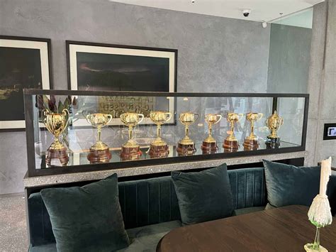 Museum Display Cases and Museum Showcases