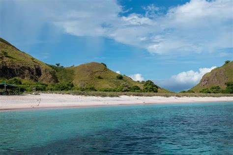 Komodo Island Day Trip: EVERYTHING You Need To Know