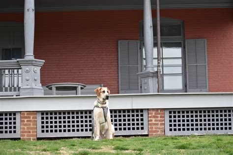 Sagamore Hill National Historical Site - The Tail Guide