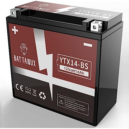 Amazon Battanux YTX14 BS Battery Motorcycle Battery Sealed SLA