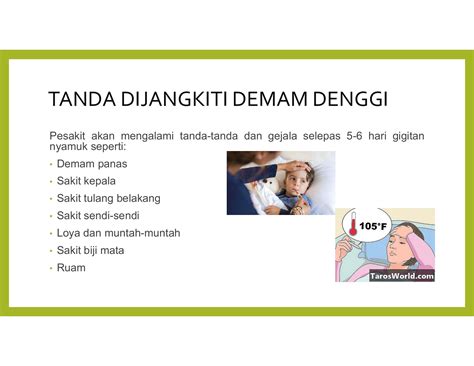 Tanda Tanda Demam Denggi Aron Mabry