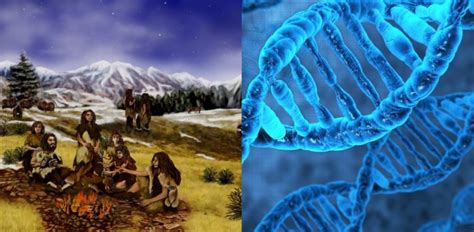 Neanderthal DNA Still Influence Modern Human Genes Scientists Say