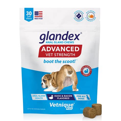 Do Probiotics Help With Dogs Anal Glands