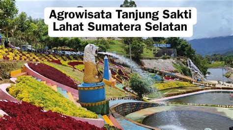 Agrowisata Tanjung Sakti Lahat Terbaru Wisata Alam Kekinian