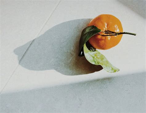 photography portfolio  showcase  work