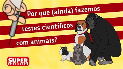 Por Que Ainda Precisamos Fazer Testes Científicos Com Animais Youtube