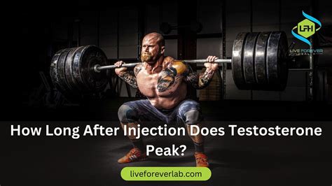 Timing Testosterone When Does It Reach Peak Levels After Injection