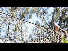 Hd Fantasyhd Alice March Has Wild Outdoor Sex Xxx Mobile Porno Videos Movies IPornTV Net