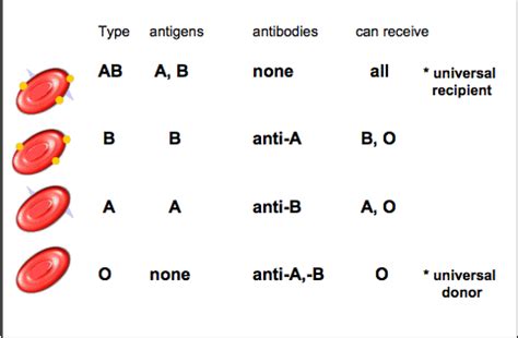 Autosomal Vs Sex Linked Traits Flashcards Quizlet