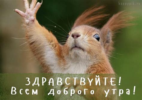 Красивые картинки Здравствуйте - скачать бесплатно (38 шт.)