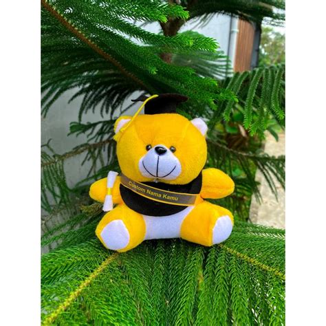 Jual Boneka Teddy Wisuda Boneka Teddy Bear Wisuda 15cm Bisa Tambah